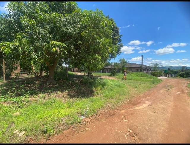 LAND FOR SALE IN SHAYANDIMA